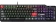 Картинка Клавиатура MSI VIGOR GK41 DUSK LR RU механическая черный/серый USB Multimedia for gamer LED (S11-04RUB01-CLA) от магазина РЭССИ Клавиатура MSI VIGOR GK41 DUSK LR RU механическая черный/серый USB Multimedia for gamer LED (S11-04RUB01-CLA) от магазина РЭССИ