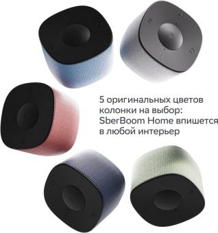 Умная колонка Sber Boom Home SBDV-00171G Салют серый 8W Mono BT/Wi-Fi (без.бат) от магазина РЭССИ