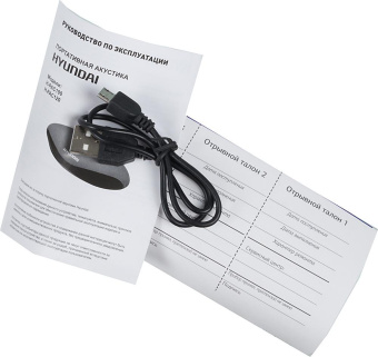 Колонка порт. Hyundai H-PAC100 черный 3W 1.0 BT/3.5Jack/USB от магазина РЭССИ