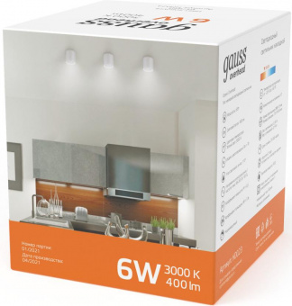 Светильник Gauss Overhead HD023 потолоч. 6Вт 3000K цв.св.:белый теплый белый от магазина РЭССИ
