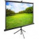 Экран Cactus 150x200см TriExpert CS-PSTE-200x150-BK 4:3 напольный рулонный черный от магазина РЭССИ