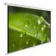 Картинка Экран Cactus 150x200см WallExpert CS-PSWE-200x150-WT 4:3 настенно-потолочный рулонный от магазина РЭССИ Экран Cactus 150x200см WallExpert CS-PSWE-200x150-WT 4:3 настенно-потолочный рулонный от магазина РЭССИ