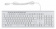 Клавиатура Оклик 490ML белый USB slim Multimedia LED от магазина РЭССИ