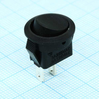 SWSMRS-101-2-C1-B/B от магазина РЭССИ