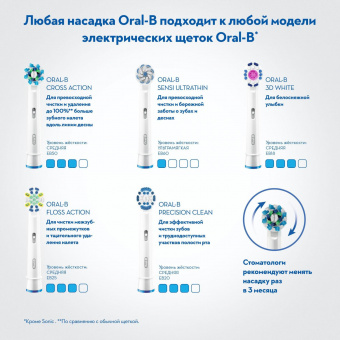 Набор электрических зубных щеток Oral-B Family Edition Pro 1 700+Kids Frozen бирюзовый/синий от магазина РЭССИ