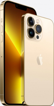 Смартфон Apple A2484 iPhone 13 Pro Max 128Gb 6Gb золотой моноблок 3G 4G 1Sim 6.7" 1284x2778 iOS 15 12Mpix 802.11 a/b/g/n/ac/ax NFC GPS GSM900/1800 GSM1900 TouchSc Protect от магазина РЭССИ