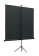Экран на треноге Lumien 160x160см Eco View LEV-100105 1:1 напольный рулонный от магазина РЭССИ