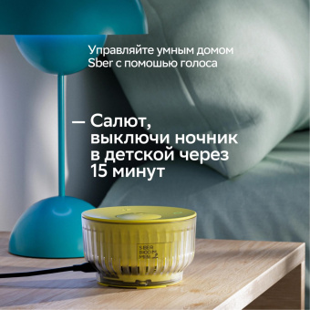 Умная колонка Sber Boom Mini 2 SBDV-00250G Салют серый 5W Mono BT/Wi-Fi от магазина РЭССИ