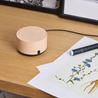 Умная колонка Yandex Станция Лайт Алиса бежевый 5W 1.0 BT 10м (YNDX-00025B) от магазина РЭССИ