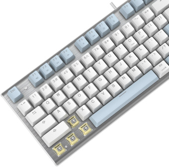 Клавиатура A4Tech Fstyler FS100 Neon механическая синий/белый USB for gamer LED (FS100) от магазина РЭССИ
