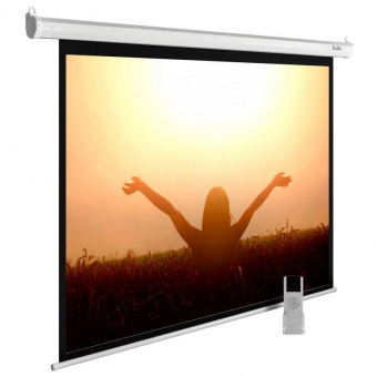 Экран Cactus 165x220см MotoExpert CS-PSME-220x165-WT 4:3 настенно-потолочный рулонный белый (моторизованный привод) от магазина РЭССИ
