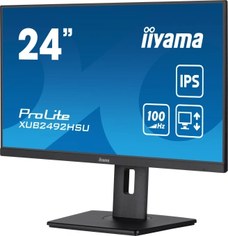 Монитор Iiyama 23.8" ProLite XUB2492HSU-B6 черный IPS LED 0.4ms 16:9 HDMI M/M матовая HAS Piv 250cd 178гр/178гр 1920x1080 100Hz DP FHD USB 4.9кг от магазина РЭССИ