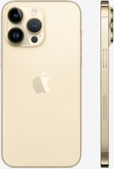Смартфон Apple A2893 iPhone 14 Pro Max 256Gb 6Gb золотой моноблок 3G 4G 1Sim 6.7" 1290x2796 iOS 16 48Mpix 802.11 a/b/g/n/ac/ax NFC GPS GSM900/1800 GSM1900 TouchSc Protect от магазина РЭССИ