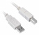 Картинка Кабель Buro USB2.0-AM/BM-5M-MG USB A(m) USB B(m) 5м феррит.кольца от магазина РЭССИ Кабель Buro USB2.0-AM/BM-5M-MG USB A(m) USB B(m) 5м феррит.кольца от магазина РЭССИ