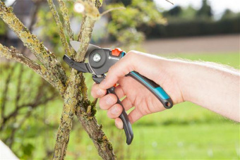 Секатор контактный Gardena A/M средний черный (08903-20.000.00) от магазина РЭССИ