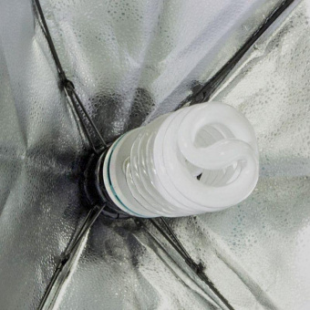 Комплект освещения Rekam CL-310-FL2-SB-FL1S от магазина РЭССИ