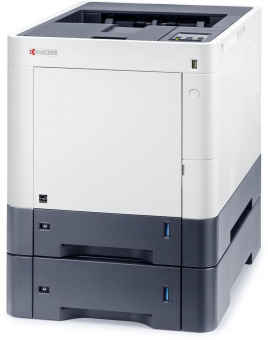 Принтер лазерный Kyocera Ecosys P6230cdn (1102TV3NL1/NL0) A4 Duplex Net белый от магазина РЭССИ