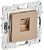 SKANDY Розетка компьютерная RJ45 кат.5E SK-K01Sa песочный IEK от магазина РЭССИ
