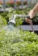 Картинка Наконечник-распылитель Gardena Premium (18336-20.000.00) от магазина РЭССИ Наконечник-распылитель Gardena Premium (18336-20.000.00) от магазина РЭССИ