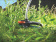 Картинка Триммер электрический Black+Decker GL7033-QS 550Вт неразбор.штан. реж.эл.:леска от магазина РЭССИ Триммер электрический Black+Decker GL7033-QS 550Вт неразбор.штан. реж.эл.:леска от магазина РЭССИ
