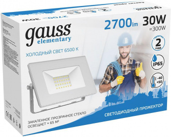 Прожектор уличный Gauss Elementary светодиодный 30Втбелый (613120330) от магазина РЭССИ