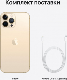 Смартфон Apple A2484 iPhone 13 Pro Max 128Gb 6Gb золотой моноблок 3G 4G 1Sim 6.7" 1284x2778 iOS 15 12Mpix 802.11 a/b/g/n/ac/ax NFC GPS GSM900/1800 GSM1900 TouchSc Protect от магазина РЭССИ
