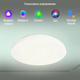 Умный светильник Digma TopLight TL25 потолоч. белый (TL25) от магазина РЭССИ