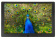 Картинка Фоторамка Digma 10.1" PF-1043 IPS 1280x800 черный пластик ПДУ Видео от магазина РЭССИ Фоторамка Digma 10.1" PF-1043 IPS 1280x800 черный пластик ПДУ Видео от магазина РЭССИ