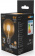 Лампа светодиодная Gauss Filament G95 6Вт цок.:E27 шар 220B 2700K св.свеч.бел.теп. (упак.:1шт) (105802106) от магазина РЭССИ