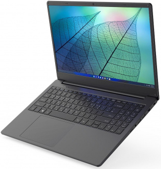 Ноутбук Hiper Workbook N15RP Ryzen 5 3500U 16Gb SSD512Gb AMD Radeon Vega 8 15.6" IPS FHD (1920x1080) Windows 10 Professional black WiFi BT Cam 6000mAh (N15RP96WI) от магазина РЭССИ