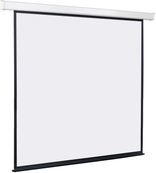 Экран Lumien 244x244см Master Control 1:1 настенно-потолочный рулонный (моторизованный привод) от магазина РЭССИ