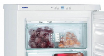 Морозильная камера Liebherr GN 1066 белый от магазина РЭССИ