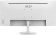 Монитор MSI 34" Pro MP341CQW белый VA LED 1ms 21:9 HDMI M/M матовая 300cd 178гр/178гр 3440x1440 100Hz DP 2K 7.7кг от магазина РЭССИ