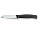 Картинка Набор ножей кухон. Victorinox Swiss Classic Paring (6.7113.31) компл.:3шт черный карт.коробка от магазина РЭССИ Набор ножей кухон. Victorinox Swiss Classic Paring (6.7113.31) компл.:3шт черный карт.коробка от магазина РЭССИ