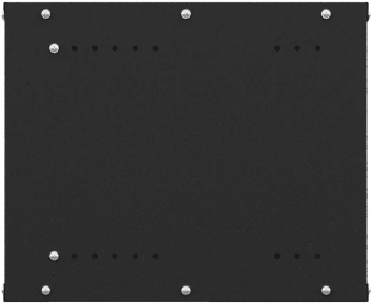 Шкаф коммутационный NTSS Lime (NTSS-WL6U5545GS-BL) настенный 6U 550x450мм пер.дв.стекл несъемн.бок.пан. 30кг черный от магазина РЭССИ