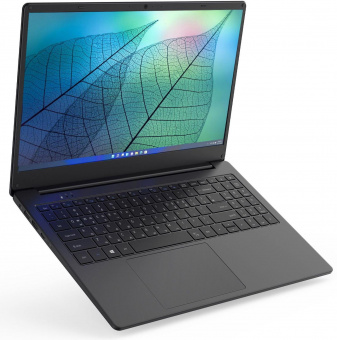 Ноутбук Hiper Workbook N15RP Ryzen 5 3500U 16Gb SSD512Gb AMD Radeon Vega 8 15.6" IPS FHD (1920x1080) Windows 10 Professional black WiFi BT Cam 6000mAh (N15RP96WI) от магазина РЭССИ