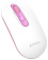 Картинка Мышь A4Tech Fstyler FG20 Sakura белый/розовый оптическая (2000dpi) беспроводная USB для ноутбука (4but) от магазина РЭССИ Мышь A4Tech Fstyler FG20 Sakura белый/розовый оптическая (2000dpi) беспроводная USB для ноутбука (4but) от магазина РЭССИ