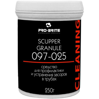 Щелочное чистящее средство PRO-BRITE SCUPPER GRANULE 250 мл 097-025 от магазина РЭССИ