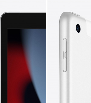Планшет Apple iPad 2021 A2604 A13 Bionic 6С ROM64Gb 10.2" IPS 2160x1620 3G 4G iOS серебристый 8Mpix 12Mpix BT GPS WiFi Touch 9hr от магазина РЭССИ