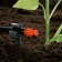 Картинка Дождеватель Gardena 08343-29.000.00 (в комп.:10 предметов) от магазина РЭССИ Дождеватель Gardena 08343-29.000.00 (в комп.:10 предметов) от магазина РЭССИ