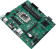 Картинка Материнская плата Asus PRO B760M-C-CSM Soc-1700 Intel B660 4xDDR5 mATX AC`97 8ch(7.1) GbLAN RAID+VGA+HDMI+DP от магазина РЭССИ Материнская плата Asus PRO B760M-C-CSM Soc-1700 Intel B660 4xDDR5 mATX AC`97 8ch(7.1) GbLAN RAID+VGA+HDMI+DP от магазина РЭССИ