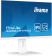 Монитор Iiyama 23.8" ProLite XUB2497HSU-W2 белый IPS LED 16:9 HDMI M/M матовая HAS Piv 300cd 178гр/178гр 1920x1080 100Hz DP FHD USB 4.9кг от магазина РЭССИ