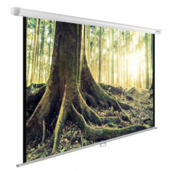 Экран Cactus 220x220см WallExpert CS-PSWE-220x220-WT 1:1 настенно-потолочный рулонный от магазина РЭССИ