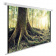 Картинка Экран Cactus 220x220см WallExpert CS-PSWE-220x220-WT 1:1 настенно-потолочный рулонный от магазина РЭССИ Экран Cactus 220x220см WallExpert CS-PSWE-220x220-WT 1:1 настенно-потолочный рулонный от магазина РЭССИ
