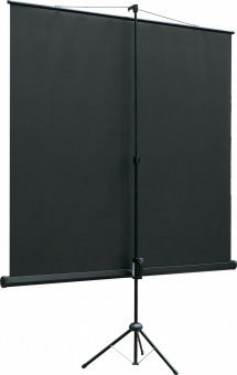 Экран на треноге Lumien 128x171см Eco View LEV-100110 4:3 напольный рулонный от магазина РЭССИ