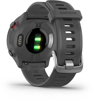 Смарт-часы Garmin Forerunner 55 42мм 1.04" LCD корп.серый рем.серый разм.брасл.:127-220мм (010-02562-13) от магазина РЭССИ