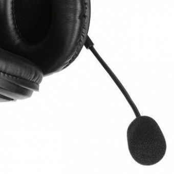 Наушники с микрофоном Оклик HS-M137V черный 1.8м мониторные оголовье (614046) от магазина РЭССИ