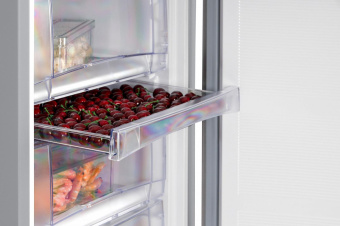 Морозильная камера Nordfrost DF 168 SAP белый от магазина РЭССИ