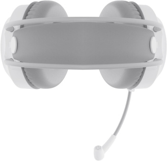 Наушники с микрофоном Оклик HS-L300G White белый 2.2м мониторные USB оголовье (1796952) от магазина РЭССИ