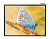 Экран Lumien 229x305см Master Control LMC-100110 4:3 настенно-потолочный рулонный (моторизованный привод) от магазина РЭССИ